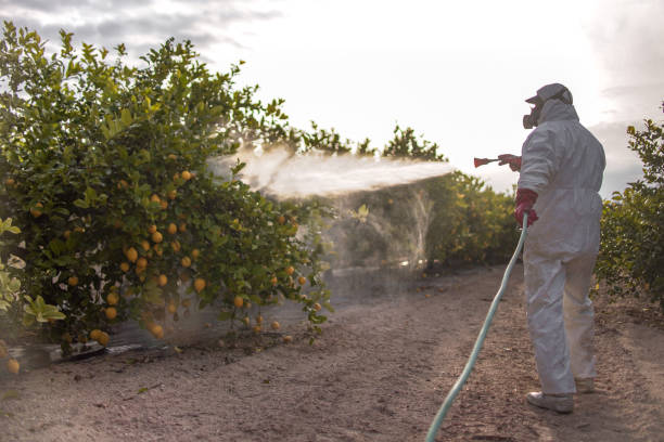 Pest Control for Restaurants in Jamaica Beach, TX